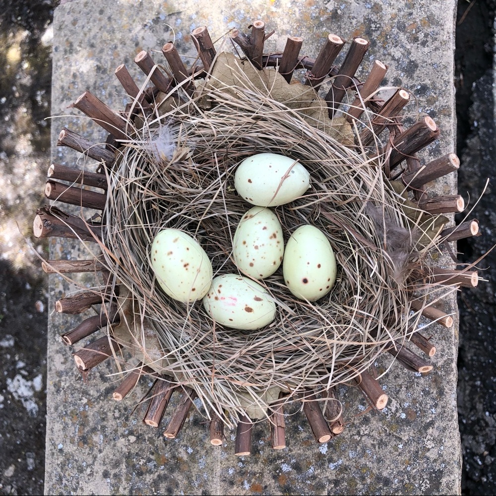Faux Robin's Nest 5 Blue Speckled Eggs 7.5in Farmhouse Spring Decor